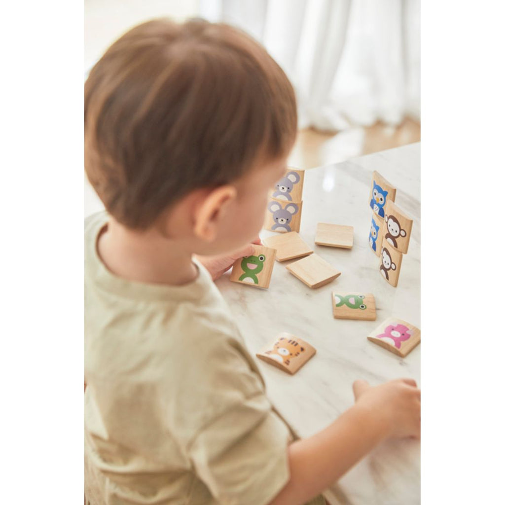 Plan Toys Animals Memo