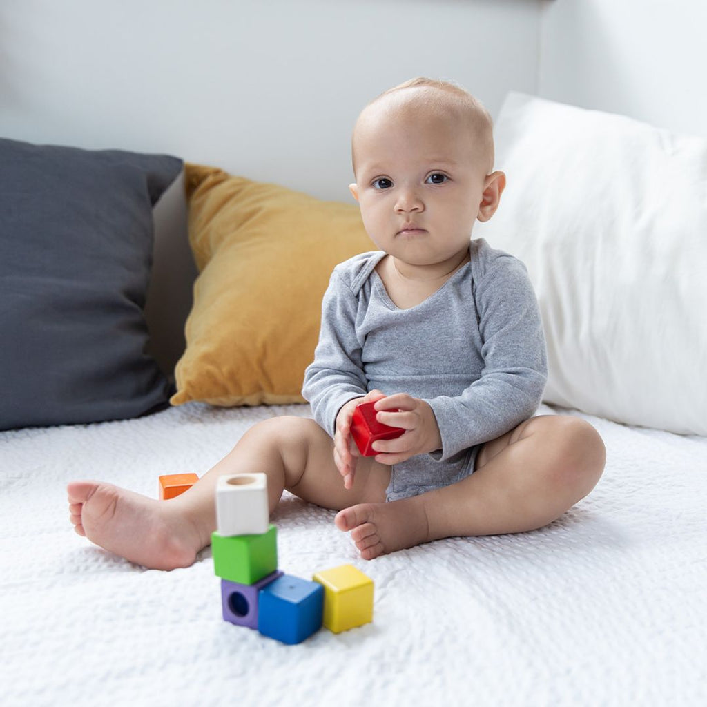 Plan Toys Activity Blocks